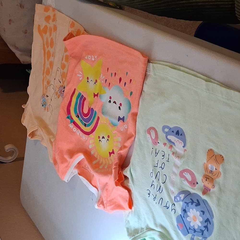 Excelent Condition Great 3 Pack Of Short Sleeve T-Shirts (18 months to 2T).